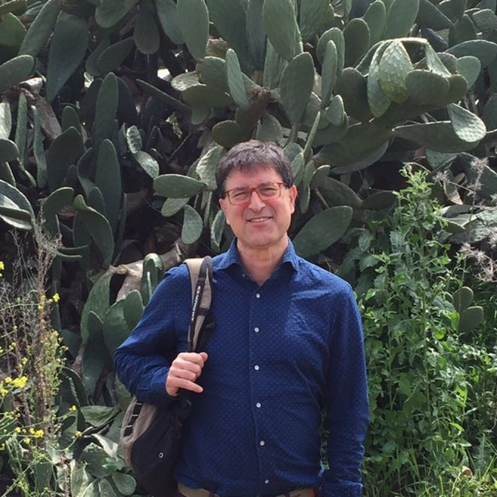 Stefano Bozzetto
