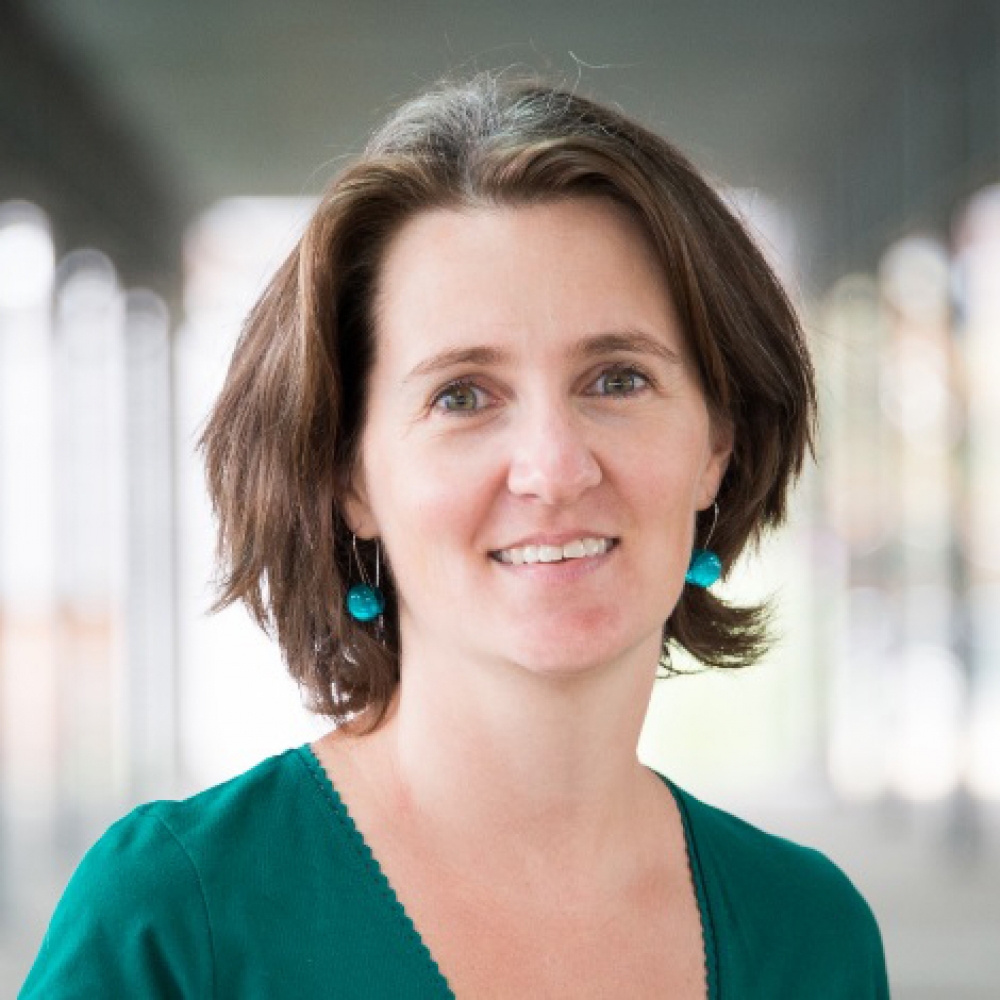 Prof. dr. ir. Leen De Gelder